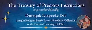 Treasury of Precious Instructions by Jamgon Kongtrul